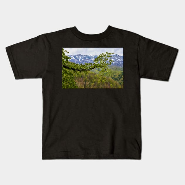 Springtime landscape through forest Kids T-Shirt by naturalis